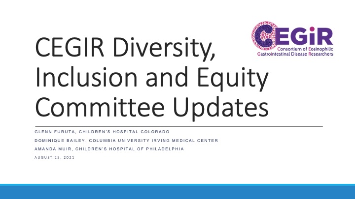 The first slide of the August 2021 CEGIR Diversity, Inclusion and Equity Committee Updates Presentation