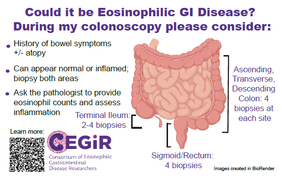CEGIR Colonoscopy Passport Card.