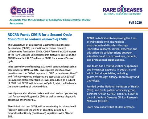 CEGIR_Newsletter_Fall-2020