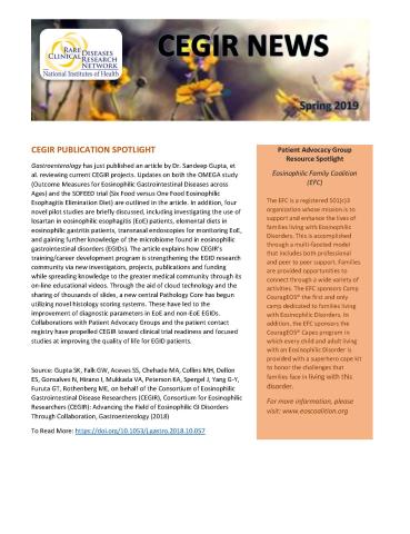 The first page of the CEGIR Spring 2019 newsletter
