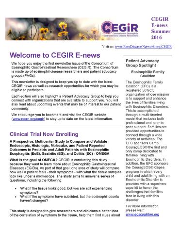 The first page of the CEGIR Summer 2016 newsletter